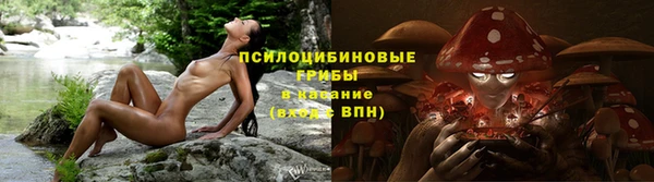 кристаллы Дмитриев