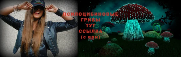 трава Дмитровск