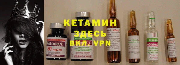 бошки Дмитров