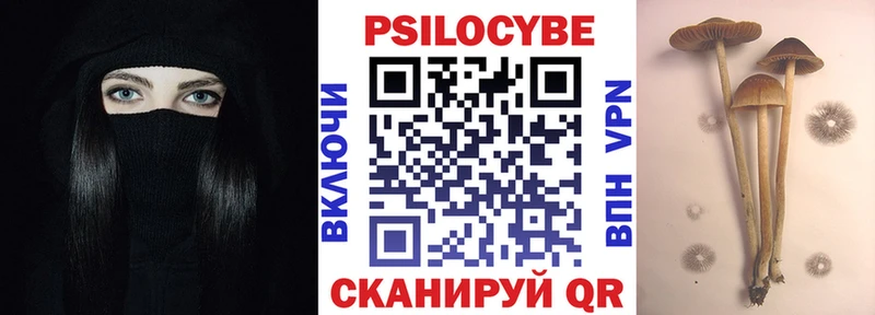 Галлюциногенные грибы Psilocybine cubensis  Купить закладки  Байкальск 